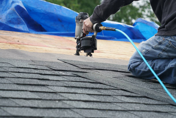 Professional Roofing Services in Westminster, LA